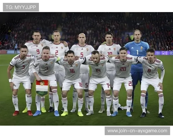 世预赛焦点：匈牙利对爱尔兰、欧洲区关键战预览